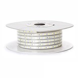 FITA LEDS 220V 6500K BRANCO FRIO (METRO)