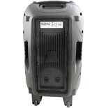 COLUNA PASSIVA 15" 450W MAX.