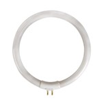 LAMPADA CIRCULAR T4 12W PARA VTLAMP10
