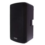 COLUNA 15" BI-AMPLIFICADA DEFINITIVE AUDIO PANDA 15A BT