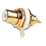FICHA RCA FEMEA CHASSI DOURADO